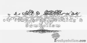#4 Vine Tree Meaning & Symbolism