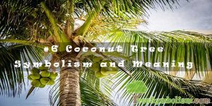 #6 Coconut Tree – Symbolism and Meaning