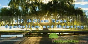 #10 Willow Tree : Symbolism and Meaning