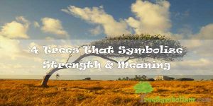 4 Trees That Symbolize Strength & Meaning