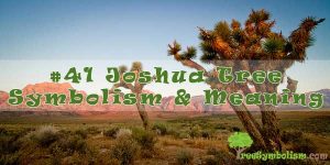 #41 Joshua Tree Symbolism & Meaning