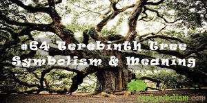 #64 Terebinth Tree - Symbolism & Meaning