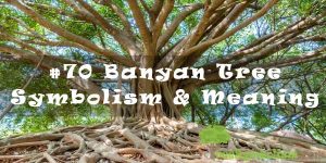 #70 Banyan Tree - Symbolism & Meaning