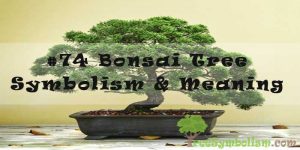 #74 Bonsai Tree - Symbolism & Meaning