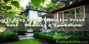 #77 Feng Shui Plants for Front Door - Meaning & Symbolism