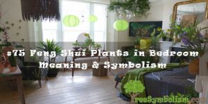 #75 Feng Shui Plants in Bedroom - Meaning & Symbolism