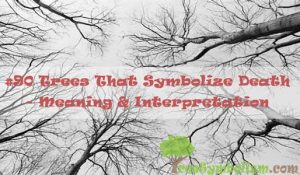 #90 Trees That Symbolize Death - Meaning & Interpretation