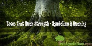 Trees that Mean Strength - Symbolism & Meaning