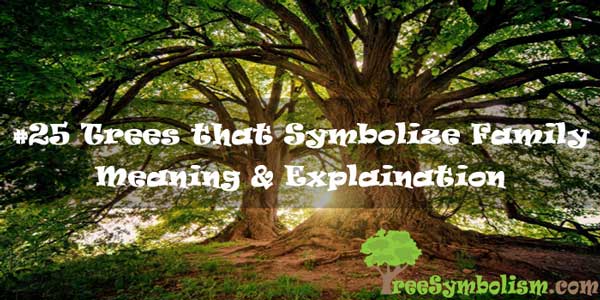 #25 Trees that Symbolize Family - Meaning & Explaination