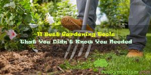 11 Best Gardening Tools That You Didn’t Know You Needed