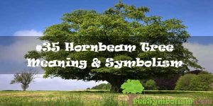 #35 Hornbeam Tree : Meaning & Symbolism