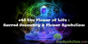 #48 The Flower of Life : Sacred Geometry & Flower Symbolism