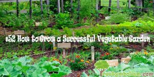 #52 How to Grow a Successful Vegetable Garden [2020]