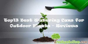 Top13 Best Watering Cans for Outdoor Plants - Reviews