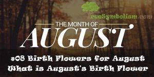 #08 Birth Flowers for August - What is August's Birth Flower