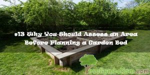 #13 Why You Should Assess an Area Before Planning a Garden Bed