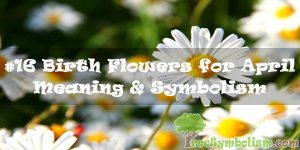 #16 Birth Flowers for April : Meaning & Symbolism