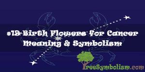#19 Birth Flowers for Cancer : Meaning & Symbolism