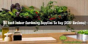 20 Best Indoor Gardening Supplies To Buy Reviews