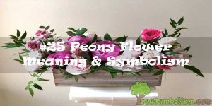 #25 Peony Flower : Meaning & Symbolism