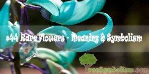 #44 Rare Flowers - Meaning & Symbolism