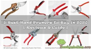 5 Best Hand Pruners To Buy in 2020 + [ Reviews & Guide ]