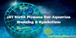 #97 Birth Flowers for Aquarius : Meaning & Symbolism