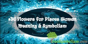 #36 Flowers for Pisces Woman - Meaning & Symbolism