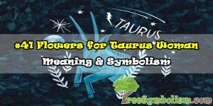 #41 Flowers for Taurus Woman - Meaning & Symbolism