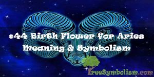 #44 Birth Flower for Aries - Meaning & Symbolism