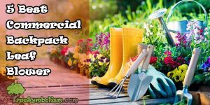 Top 5 Best Commercial Backpack Leaf Blower