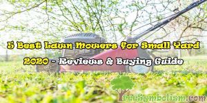 5 Best Lawn Mowers for Small Yard 2020 - Reviews & Buying Guide