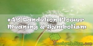 #46 Dandelion Flower : Meaning & Symbolism