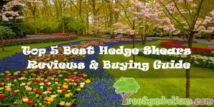 Top 5 Best Hedge Shears 2020 - Reviews & Buying Guide
