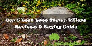 Top 5 Best Tree Stump Killers - Reviews & Buying Guide