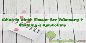 What is Birth flower for February ? Meaning & Symbolism