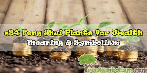 #24 Feng Shui Plants for Wealth - Meaning & Symbolism