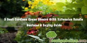 Best Cordless Grass Shears With Extension Handle