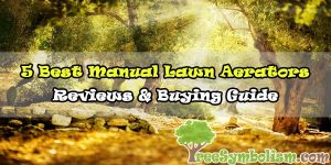 5 Best Manual Lawn Aerators 2020 - Top Reviews & Buying Guide