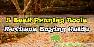 ????5 Best Pruning Tools - Reviews & Buying Guide