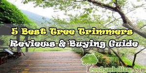 ????5 Best Tree Trimmers - Reviews & Buying Guide