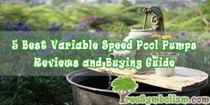5 Best Variable Speed Pool Pumps - Reviews and Buying Guide