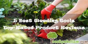 5 Best Garden Tools for Weeding - Top Reviews & Buying Guide