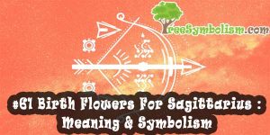 #61 Birth Flowers For Sagittarius : Meaning & Symbolism