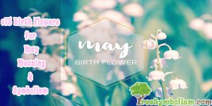 #75 Birth Flowers for May - Meaning & Symbolism
