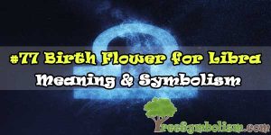 #77 Birth Flower for Libra - Meaning & Symbolism
