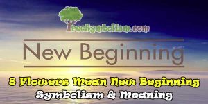 ????8 Flowers Mean New Beginning - Symbolism & Meaning