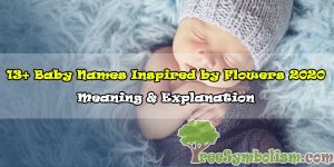 13+ Baby Names Inspired by Flowers – Meaning & Explanation