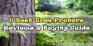 ️????️5 Best Tree Pruners 2020 - Reviews & Buying Guide