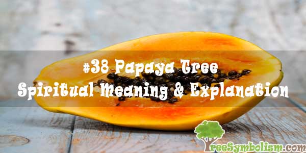 #38 Papaya Tree - Spiritual Meaning & Explanation